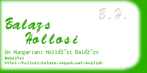 balazs hollosi business card